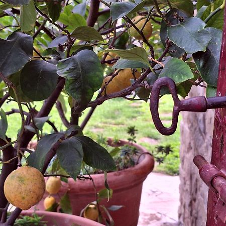 Agriturismo Campo Del Pillo Pietradura 外观 照片