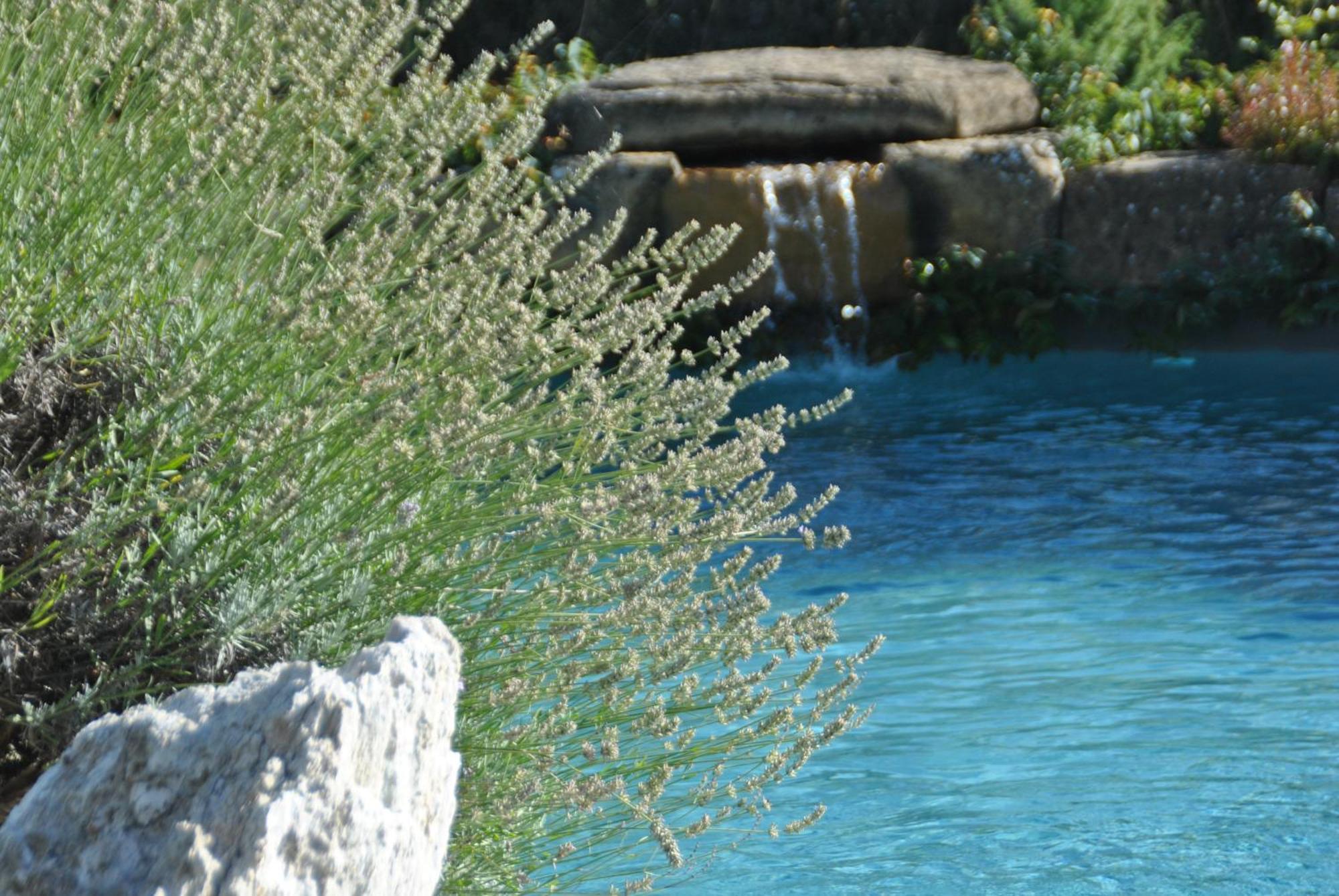 Agriturismo Campo Del Pillo Pietradura 外观 照片