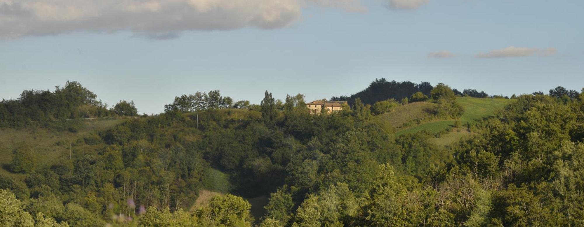 Agriturismo Campo Del Pillo Pietradura 外观 照片