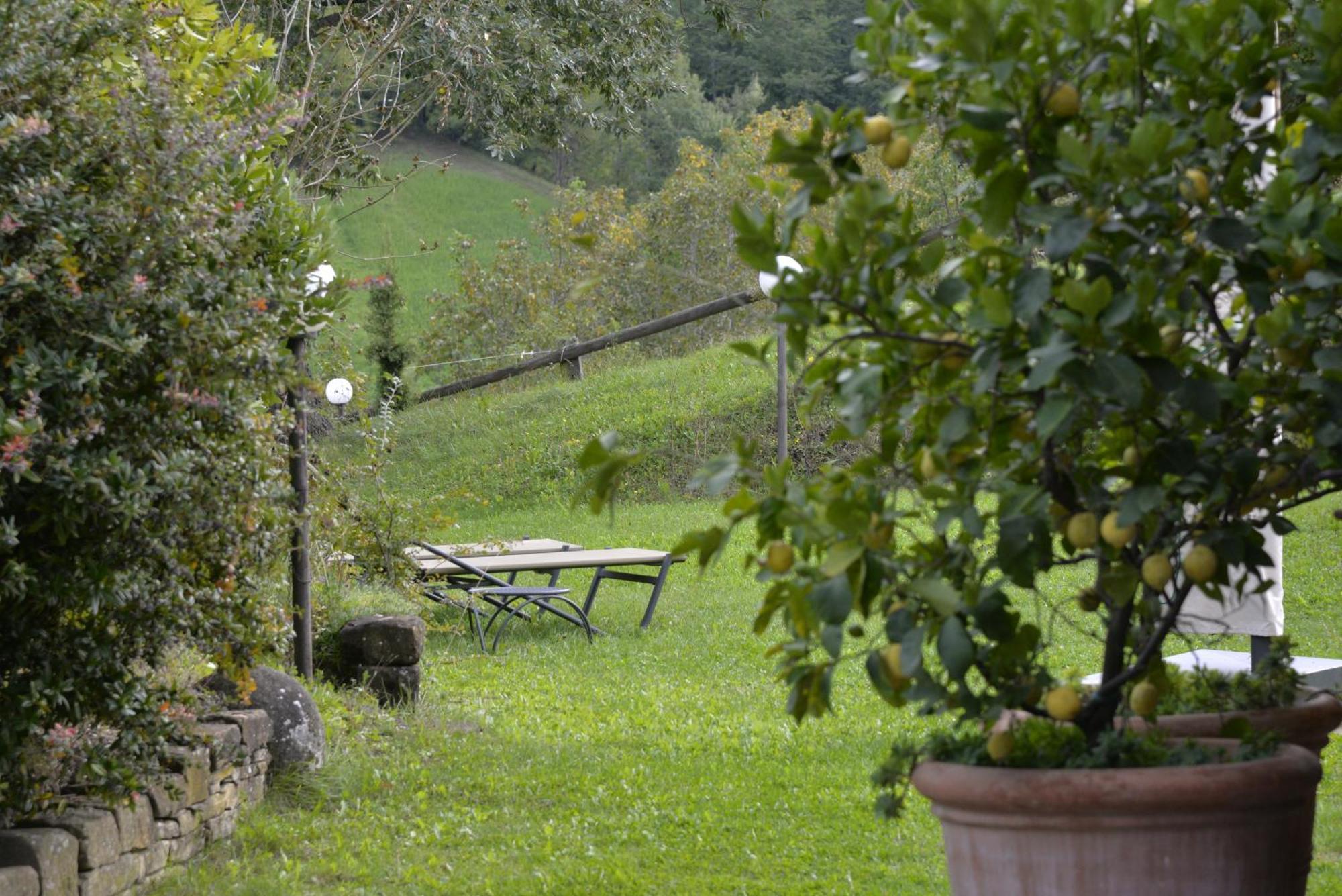 Agriturismo Campo Del Pillo Pietradura 外观 照片