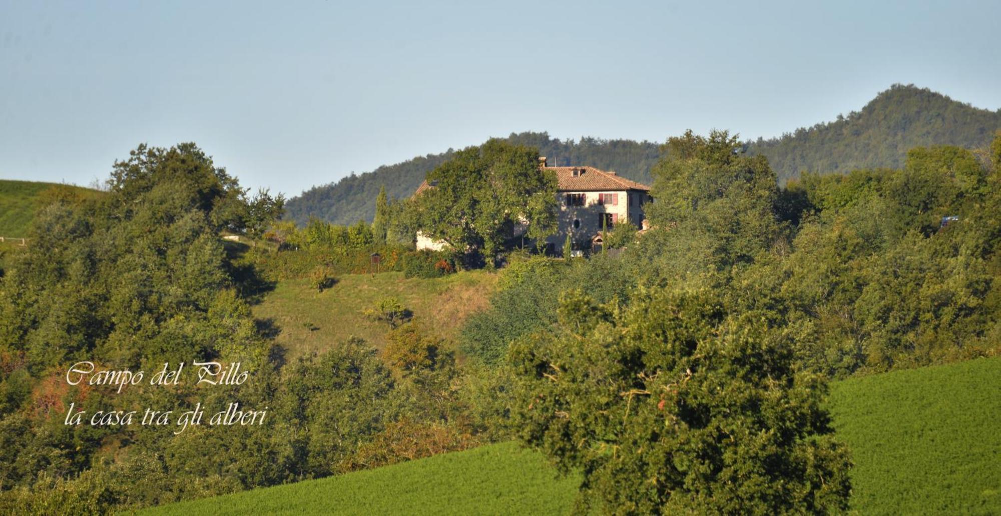 Agriturismo Campo Del Pillo Pietradura 外观 照片