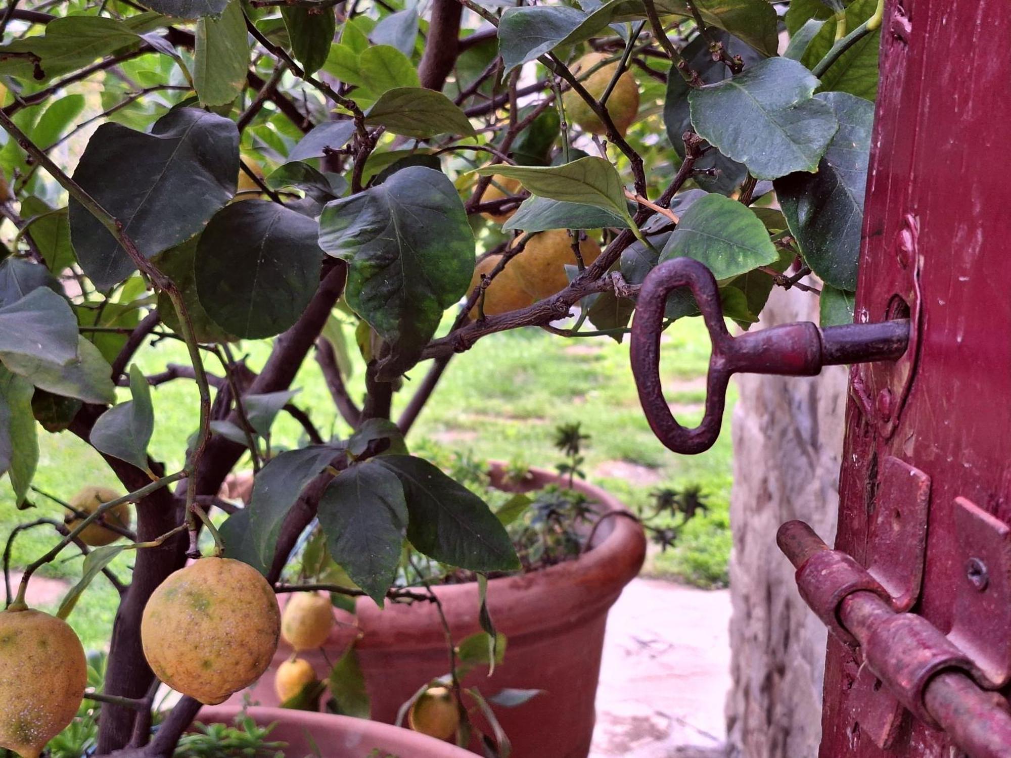 Agriturismo Campo Del Pillo Pietradura 外观 照片