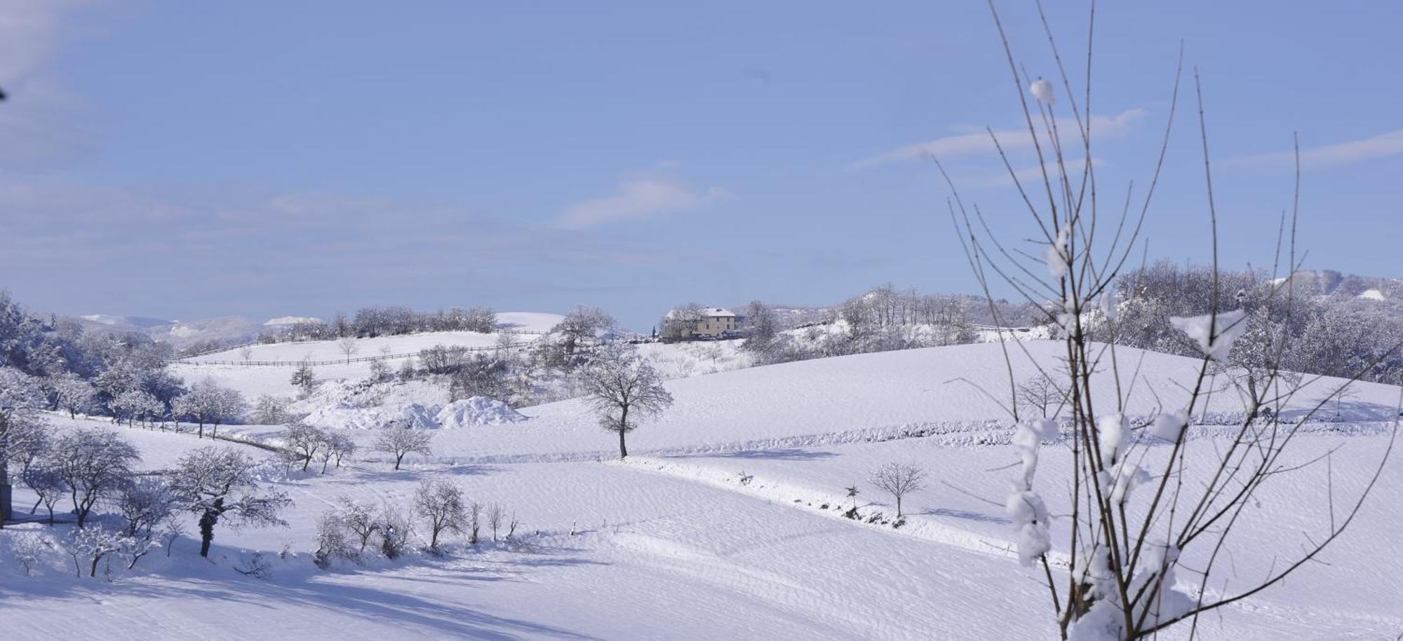 Agriturismo Campo Del Pillo Pietradura 外观 照片