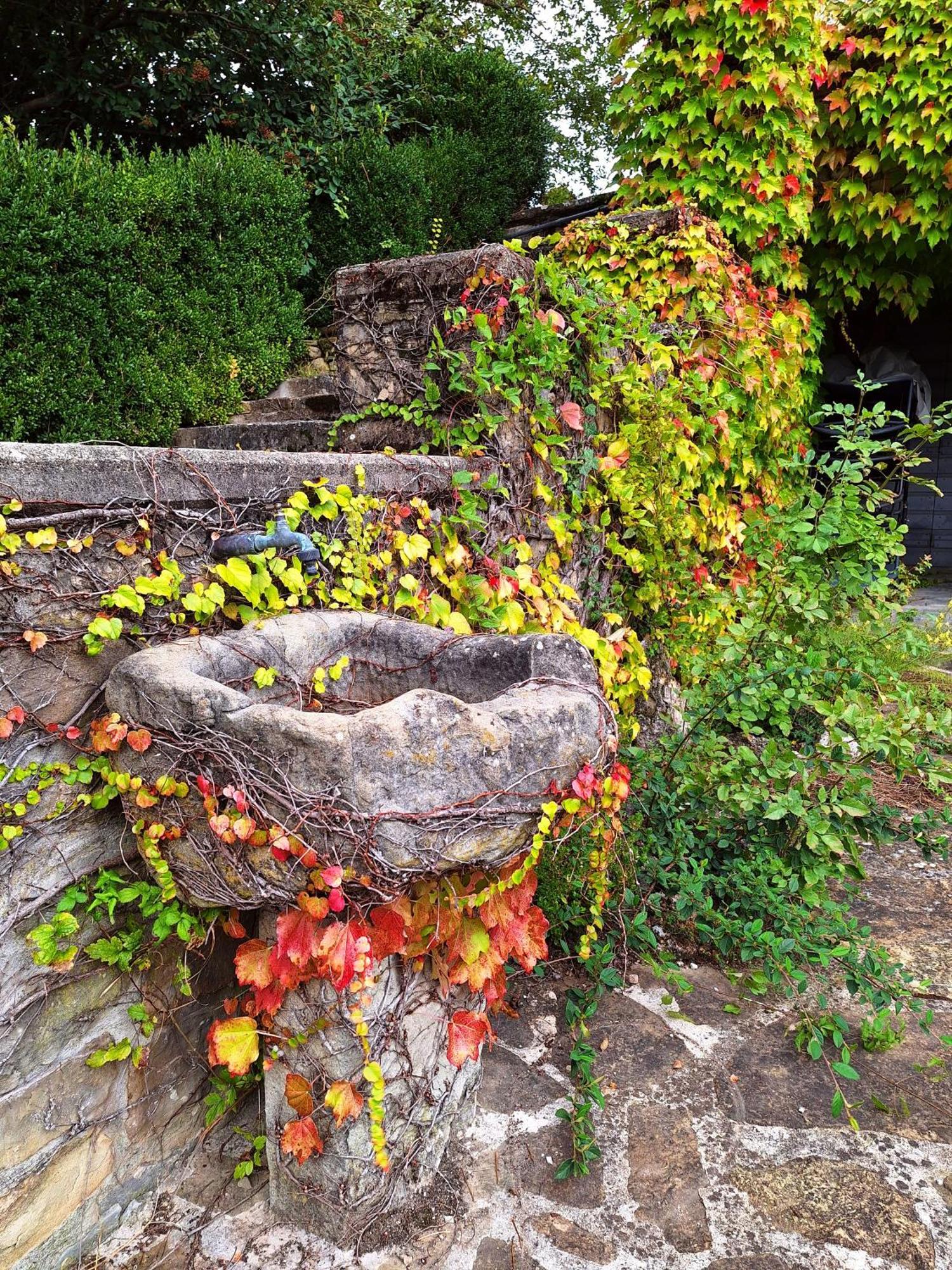 Agriturismo Campo Del Pillo Pietradura 外观 照片