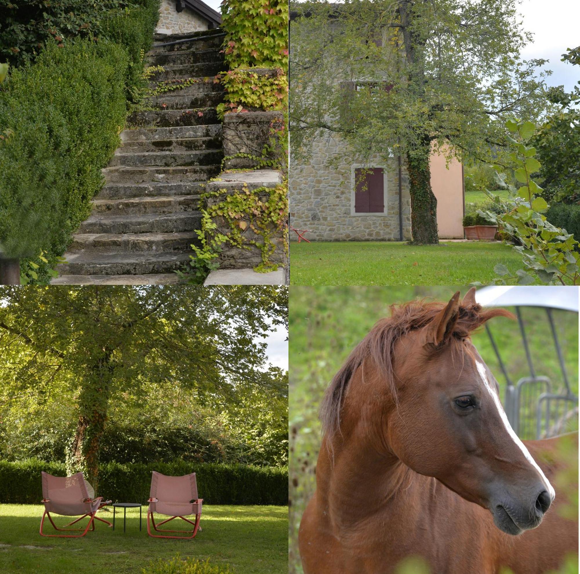 Agriturismo Campo Del Pillo Pietradura 外观 照片
