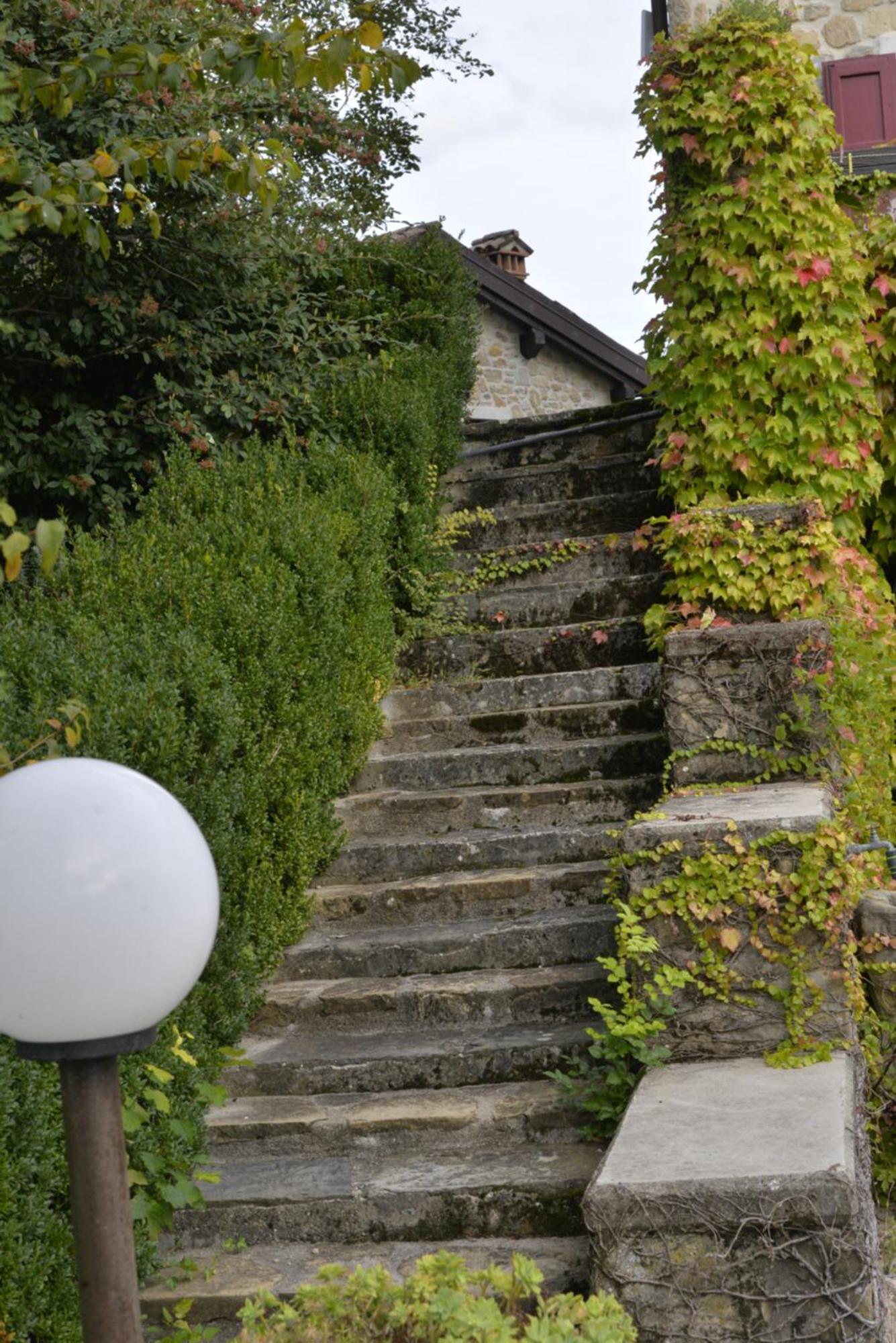 Agriturismo Campo Del Pillo Pietradura 外观 照片