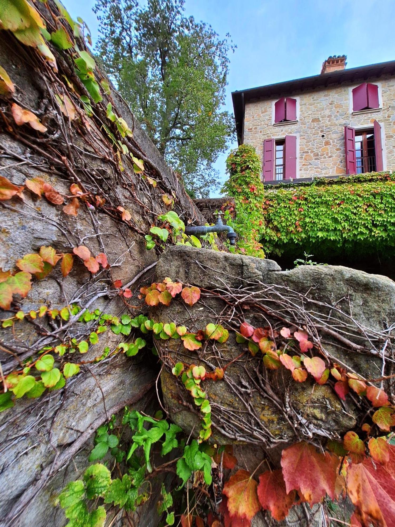 Agriturismo Campo Del Pillo Pietradura 外观 照片