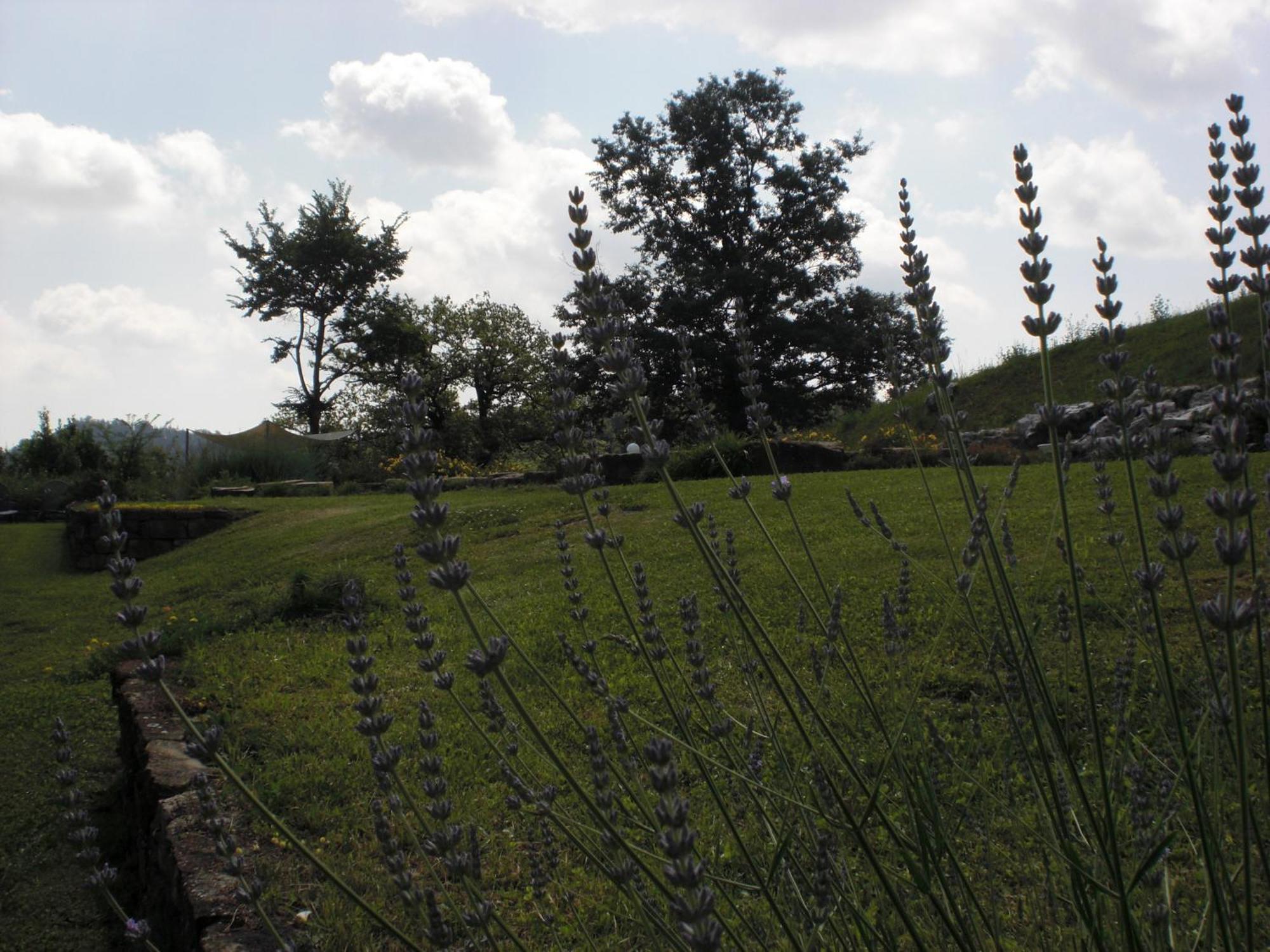 Agriturismo Campo Del Pillo Pietradura 外观 照片