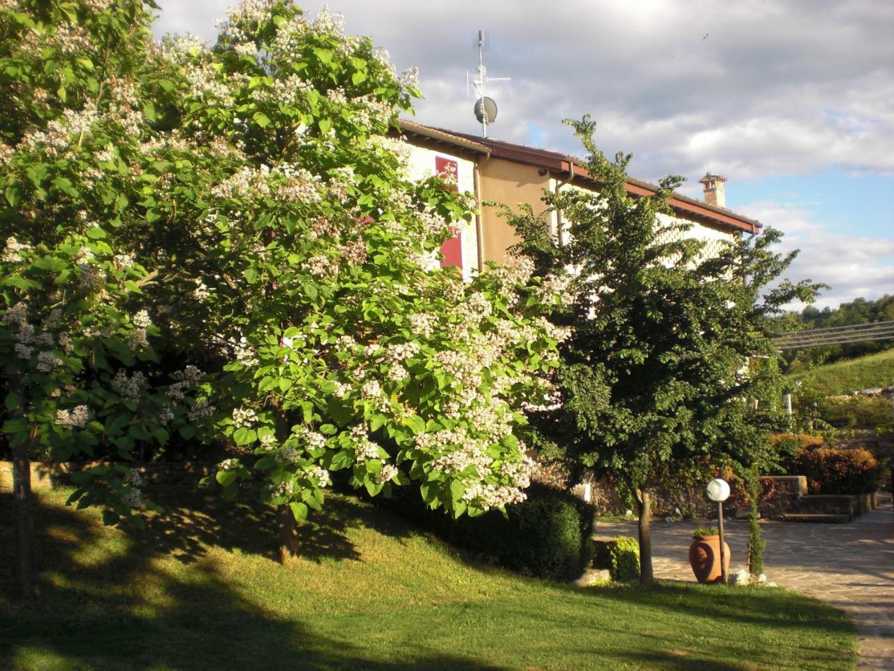 Agriturismo Campo Del Pillo Pietradura 外观 照片